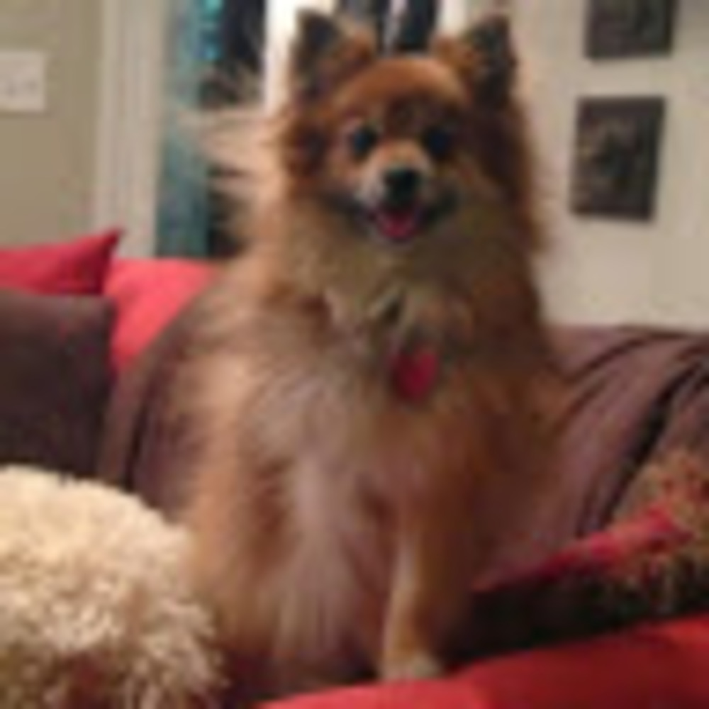 Meet your Posher, Joeanna